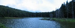 Onandaga Trail; Spruce Pond